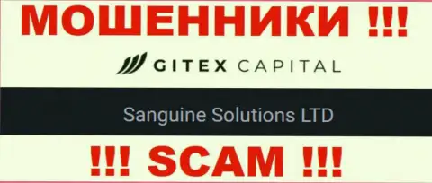 Юр лицо Gitex Capital - это Sanguine Solutions LTD, именно такую инфу представили мошенники на своем сервисе