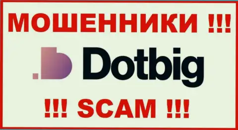 DotBig Com - это КИДАЛЫ !!! SCAM !!!