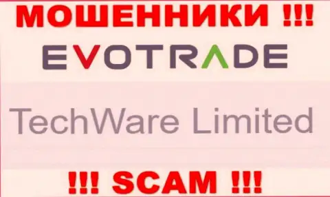 Юридическим лицом EvoTrade Com является - TechWare Limited