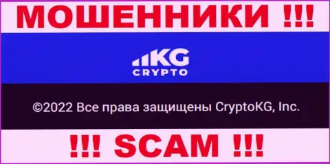 Crypto KG - юр. лицо кидал компания CryptoKG, Inc