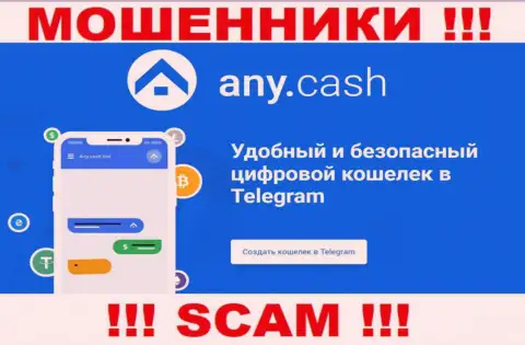 АниКеш - это internet-мошенники, их деятельность - Виртуальный кошелёк, направлена на присваивание вложенных средств людей