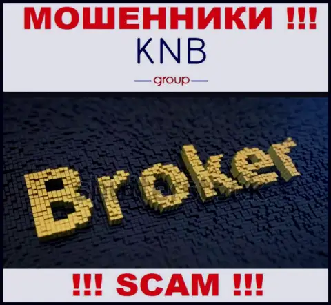 Тип деятельности противоправно действующей компании KNB-Group Net - Брокер