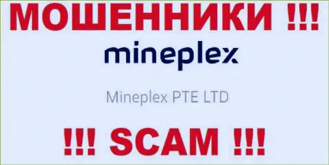 Владельцами МайнПлекс ПТЕ ЛТД является компания - Mineplex PTE LTD
