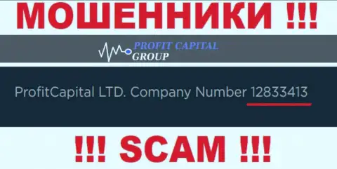 Регистрационный номер Profit Capital Group, который представлен мошенниками на их ресурсе: 12833413