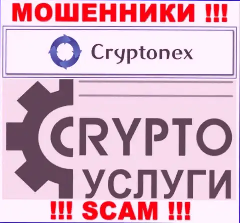 Связавшись с CryptoNex, область деятельности которых Криптовалютные услуги, можете остаться без своих вложенных денежных средств