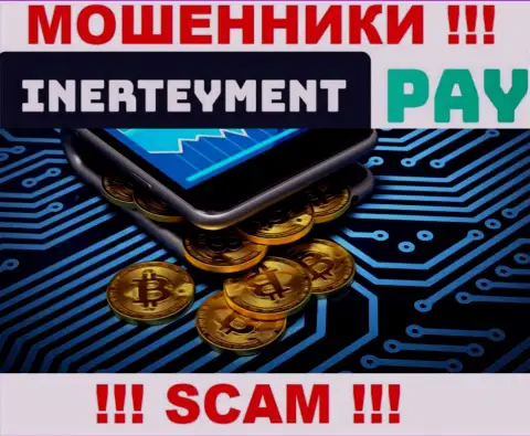 Вид деятельности InerteymentPay Com: Система платежей - хороший доход для интернет кидал