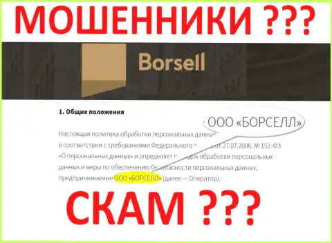 ООО БОРСЕЛЛ - контора, владеющая internet мошенниками Borsell
