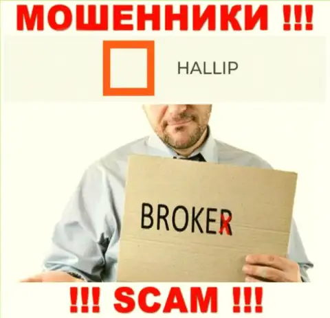 Направление деятельности internet разводил Халлип - это Broker, однако имейте ввиду это разводилово !!!