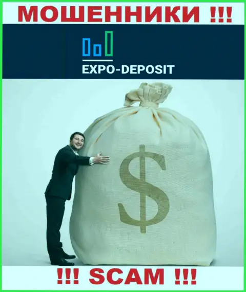Нереально вернуть обратно деньги с организации Expo-Depo, исходя из этого ни рубля дополнительно вводить не нужно