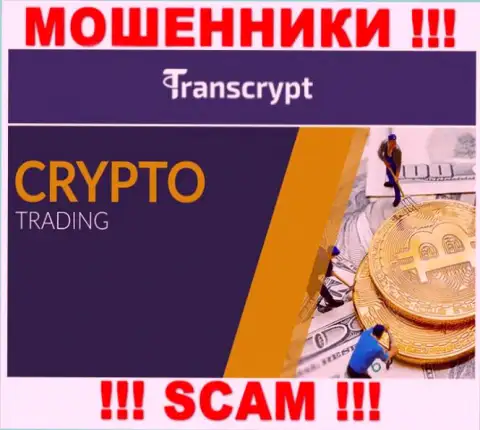 Транс Крипт - это интернет-обманщики ! Тип деятельности которых - Crypto trading
