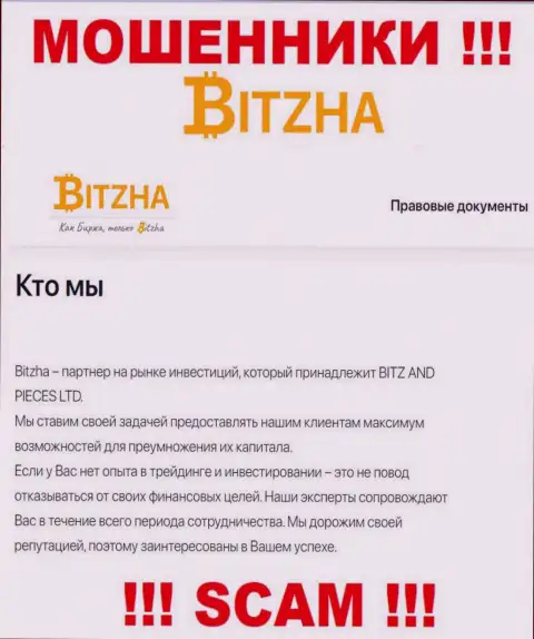 Bitzha 24 - это чистой воды мошенники, тип деятельности которых - Инвестиции