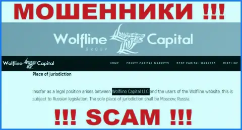 Юридическое лицо конторы WolflineCapital - это ООО Волфлайн Кэпитал