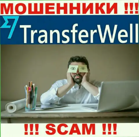Работа TransferWell Net ПРОТИВОЗАКОННА, ни регулятора, ни лицензии на право деятельности нет