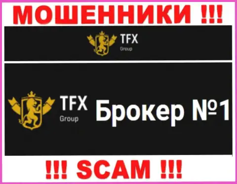 Не рекомендуем доверять вложенные деньги TFX FINANCE GROUP LTD, т.к. их сфера работы, Forex, капкан