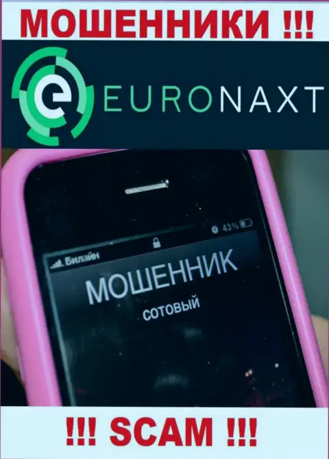 Вас пытаются раскрутить на деньги, EuroNax в поиске очередных жертв