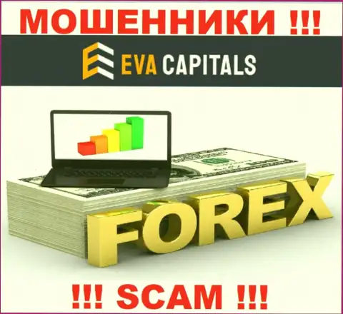 Forex - это именно то, чем промышляют мошенники Eva Capitals
