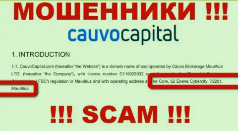 Невозможно забрать обратно вложения у компании CauvoCapital Com - они прячутся в офшорной зоне по адресу - The Core, 62 Ebene Cybercity, 72201, Mauritius