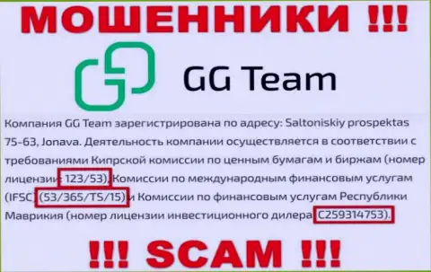 Очень рискованно доверять компании GG Team, хотя на сайте и размещен ее лицензионный номер