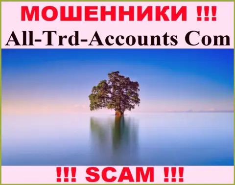 All Trd Accounts прикарманивают средства и остаются без наказания - они скрыли информацию о юрисдикции