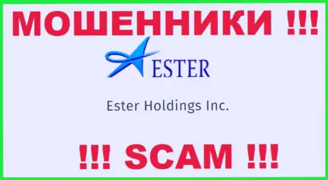 Инфа об юридическом лице internet обманщиков Ester Holdings