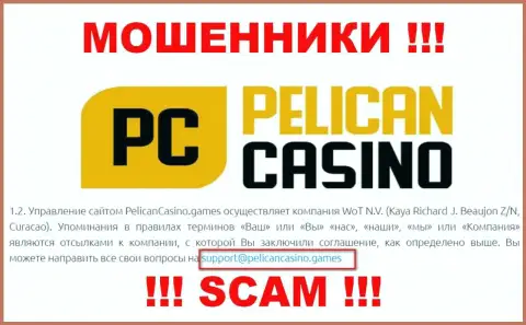 Ни при каких обстоятельствах не рекомендуем отправлять письмо на адрес электронного ящика интернет-махинаторов PelicanCasino Games - разведут в миг
