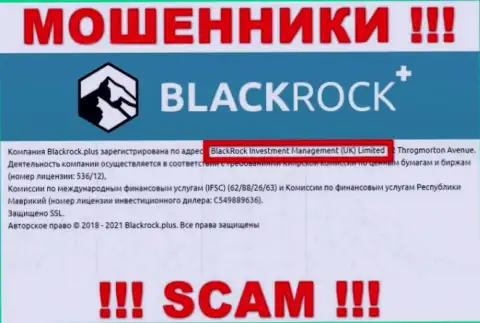 Руководством BlackRockPlus является контора - БлэкРок Инвестмент Менеджмент (УК) Лтд