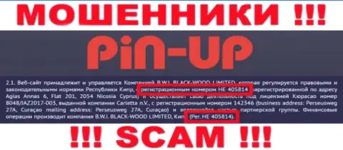 Номер регистрации очередных мошенников всемирной интернет сети организации Pin UpCasino - HE 405814