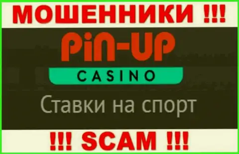 Основная работа Pin-Up Casino - это Казино, будьте весьма внимательны, промышляют незаконно