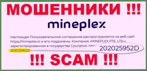 Номер регистрации очередной незаконно действующей организации МайнПлекс - 202025952D