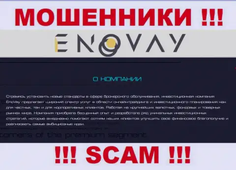 Поскольку деятельность internet мошенников EnoVay Com - это сплошной обман, лучше будет взаимодействия с ними избегать