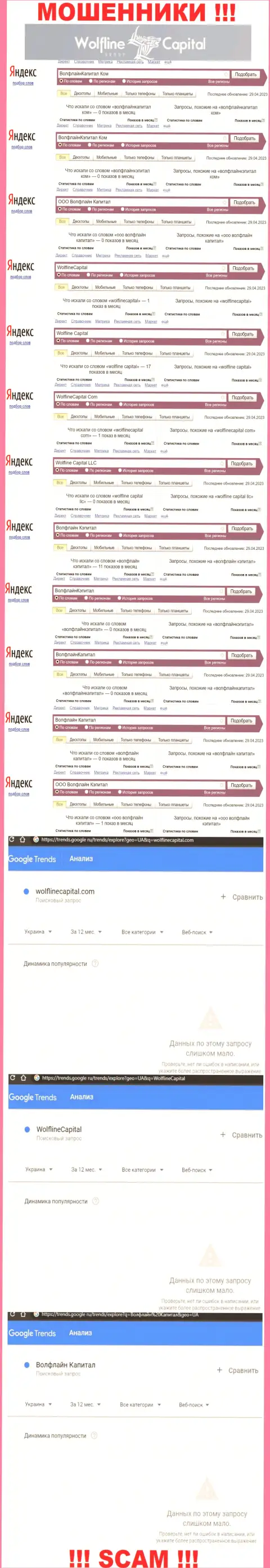 Статистические данные о количестве онлайн-запросов информации о мошенниках WolflineCapital Com