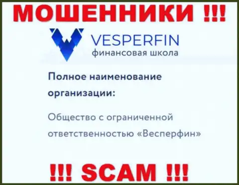Инфа про юр лицо интернет-мошенников VesperFin - ООО Весперфин, не спасет Вас от их грязных рук