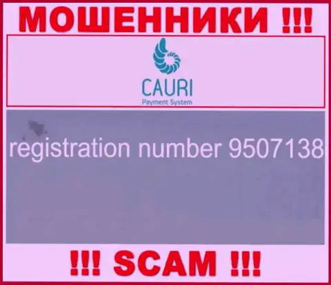 Номер регистрации, принадлежащий противоправно действующей конторе Каури - 9507138