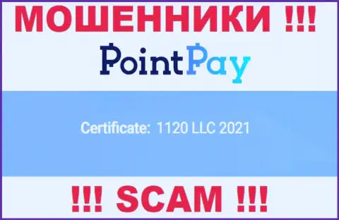 Номер регистрации Point Pay LLC, который показан жуликами на их сайте: 1120 LLC 2021