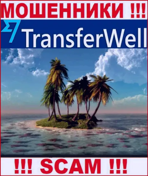 Не угодите в сети internet-ворюг TransferWell Net - спрятали информацию о официальном адресе регистрации
